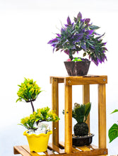 Load image into Gallery viewer, Beauty Panda Teak Wood Indoor/Outdoor Plant Stand for Home Garden Balcony Living Room Decor (RL105)
