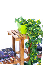 Load image into Gallery viewer, Beauty Panda® Teak Wood Multipurpose Plant Stand Indoor Outdoor Planter Display Shelving (58T)
